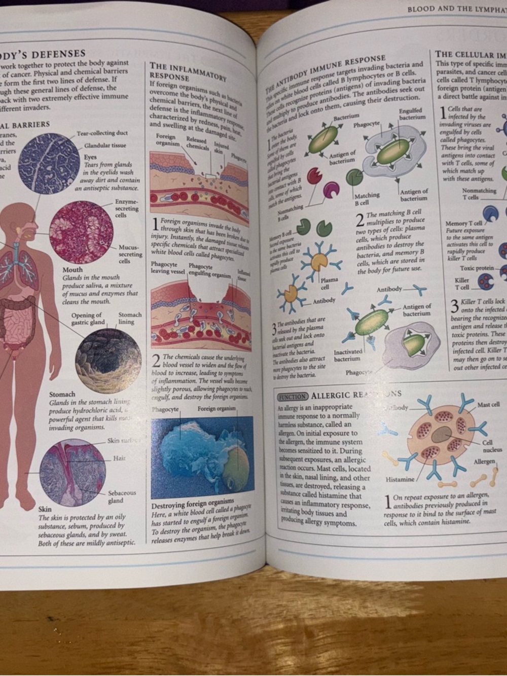 Complete Home Medical Guide Book - Picture 4 of 6